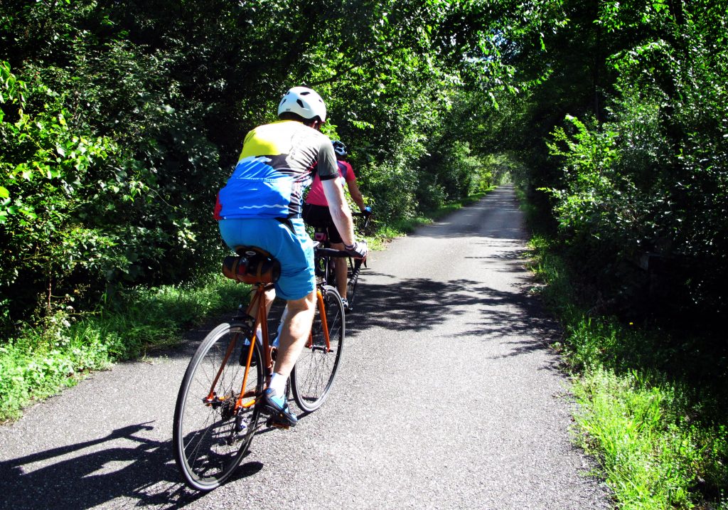 Cyclist, Harlem Valley Rail Trail in summer.
