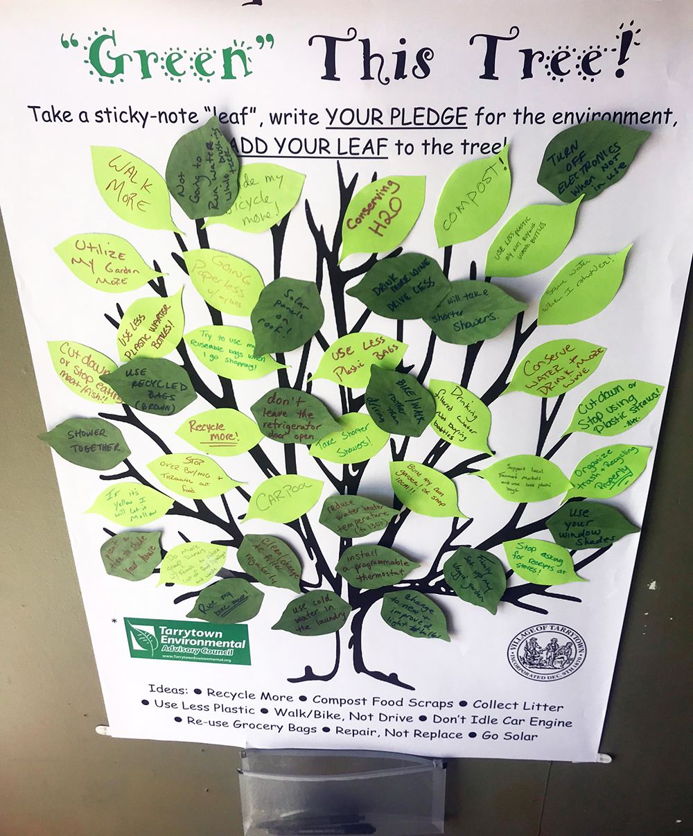 A Pledge for a Tree: Fly Less