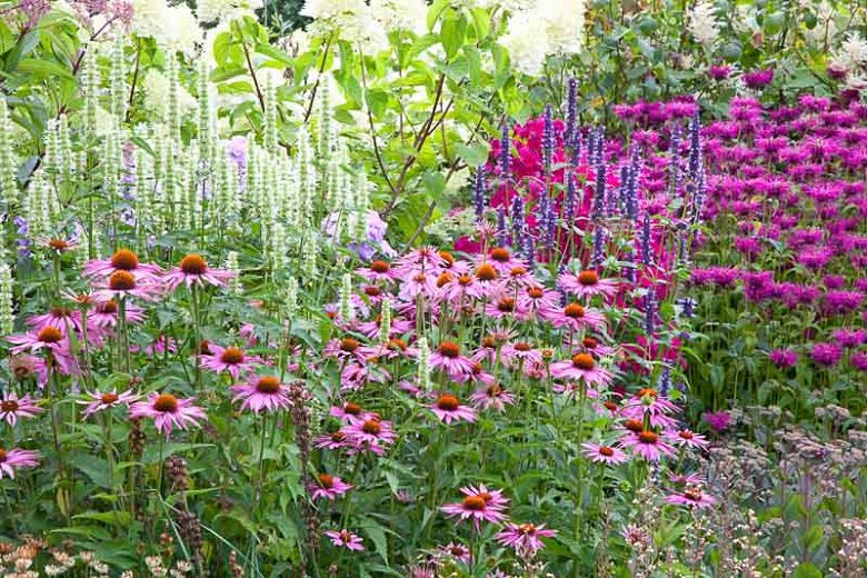 Tarrytown Pollinator Gardens
