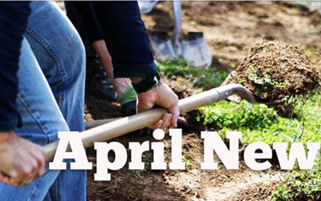 April 2021 TEAC Newsletter
