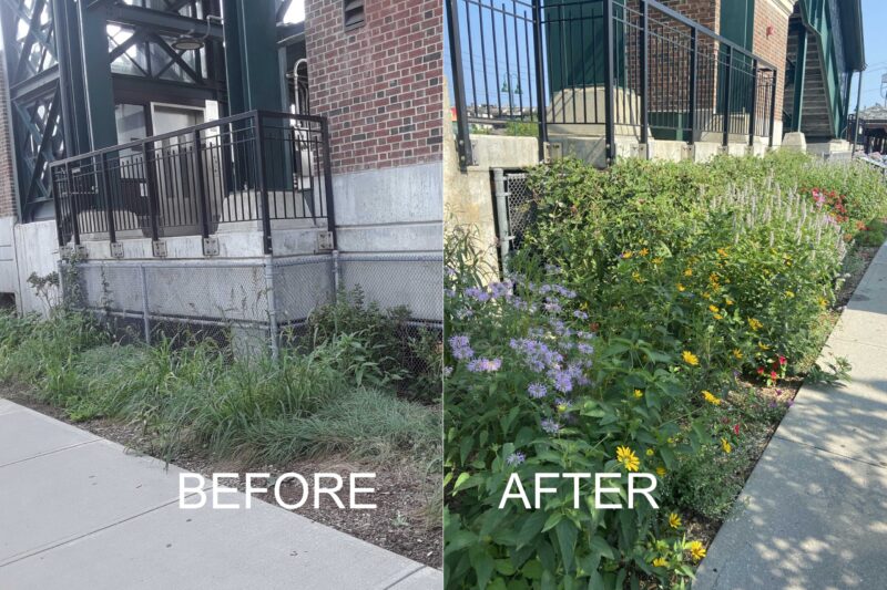 Adopt a Spot — Make a Difference Today!