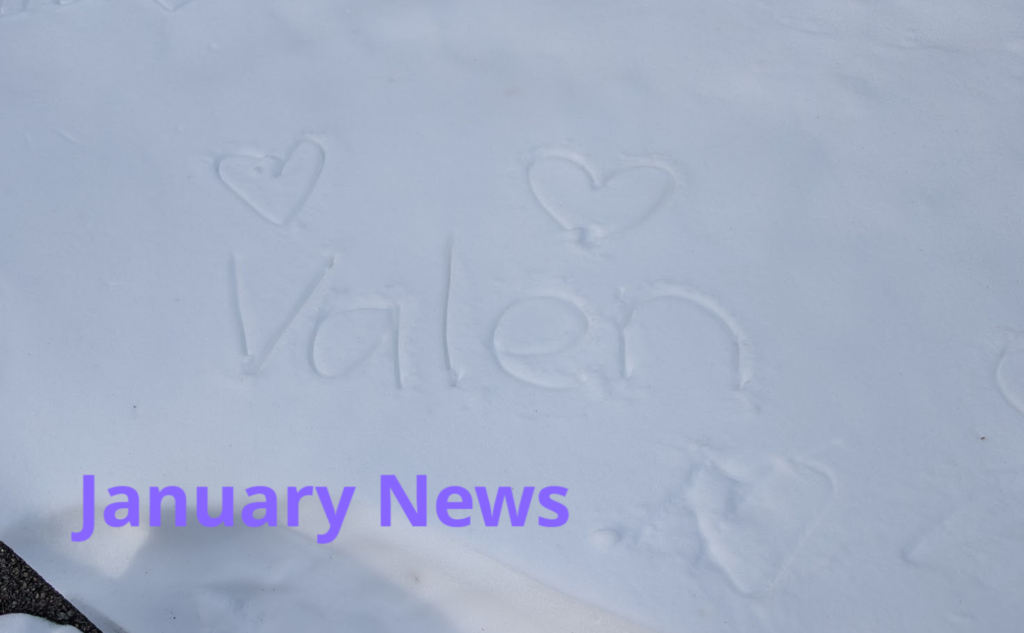 Screenshot 2026-01-10 150925