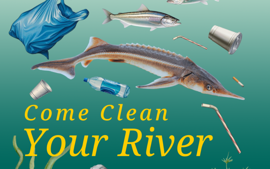 15th Annual Riverkeeper Sweep